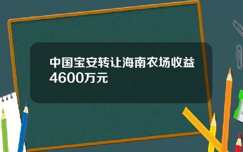 中国宝安转让海南农场收益4600万元