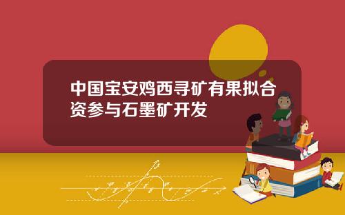 中国宝安鸡西寻矿有果拟合资参与石墨矿开发