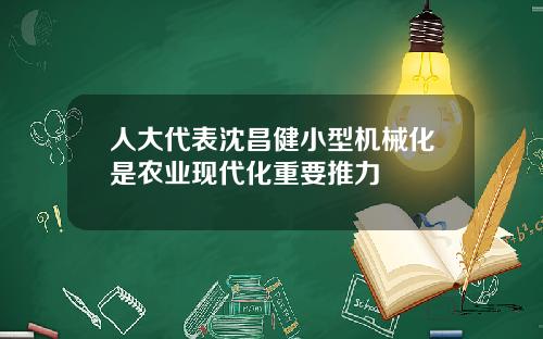 人大代表沈昌健小型机械化是农业现代化重要推力