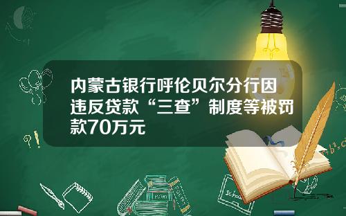 内蒙古银行呼伦贝尔分行因违反贷款“三查”制度等被罚款70万元