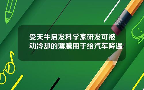 受天牛启发科学家研发可被动冷却的薄膜用于给汽车降温