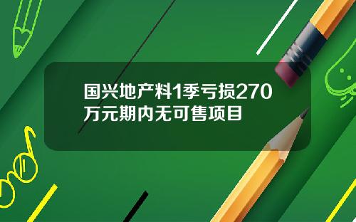 国兴地产料1季亏损270万元期内无可售项目