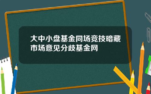 大中小盘基金同场竞技暗藏市场意见分歧基金网