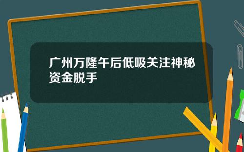 广州万隆午后低吸关注神秘资金脱手