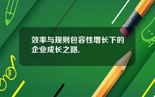 效率与规则包容性增长下的企业成长之路.