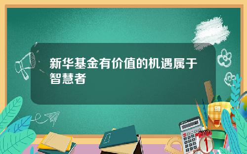 新华基金有价值的机遇属于智慧者