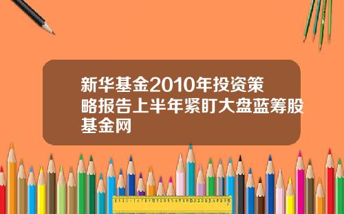 新华基金2010年投资策略报告上半年紧盯大盘蓝筹股基金网