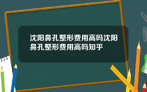 沈阳鼻孔整形费用高吗沈阳鼻孔整形费用高吗知乎