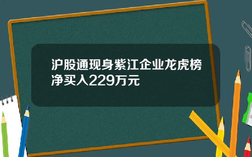 沪股通现身紫江企业龙虎榜净买入229万元