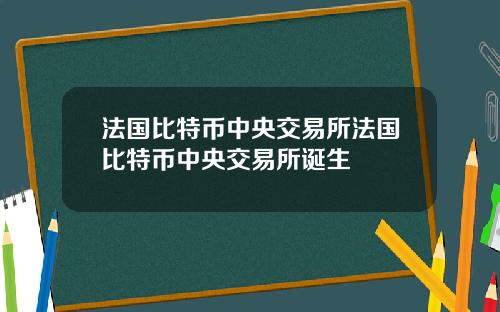 法国比特币中央交易所法国比特币中央交易所诞生