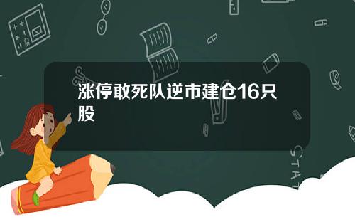 涨停敢死队逆市建仓16只股