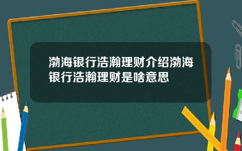 渤海银行浩瀚理财介绍渤海银行浩瀚理财是啥意思