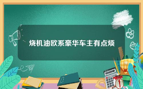 烧机油欧系豪华车主有点烦