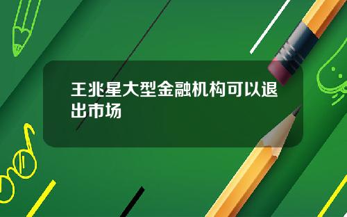 王兆星大型金融机构可以退出市场