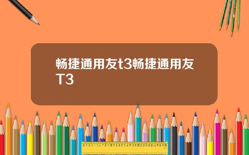 畅捷通用友t3畅捷通用友T3