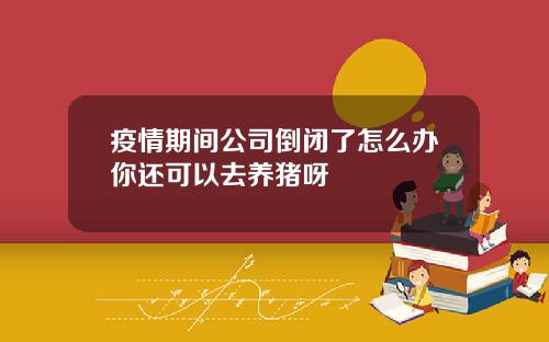 疫情期间公司倒闭了怎么办你还可以去养猪呀