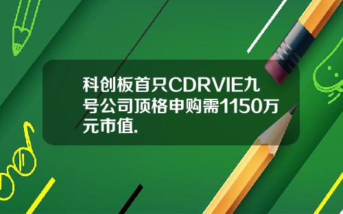 科创板首只CDRVIE九号公司顶格申购需1150万元市值.