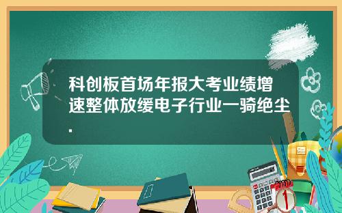 科创板首场年报大考业绩增速整体放缓电子行业一骑绝尘.