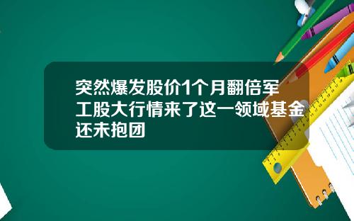 突然爆发股价1个月翻倍军工股大行情来了这一领域基金还未抱团