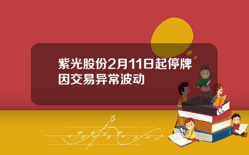 紫光股份2月11日起停牌因交易异常波动