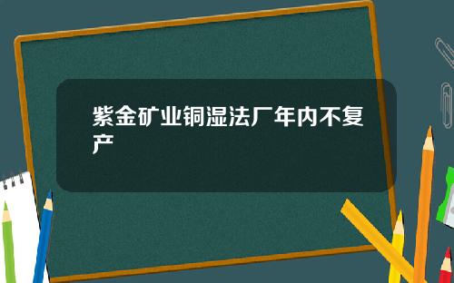 紫金矿业铜湿法厂年内不复产