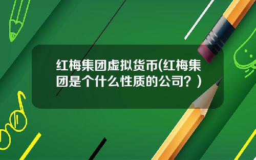 红梅集团虚拟货币(红梅集团是个什么性质的公司？)