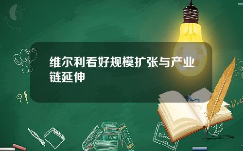 维尔利看好规模扩张与产业链延伸