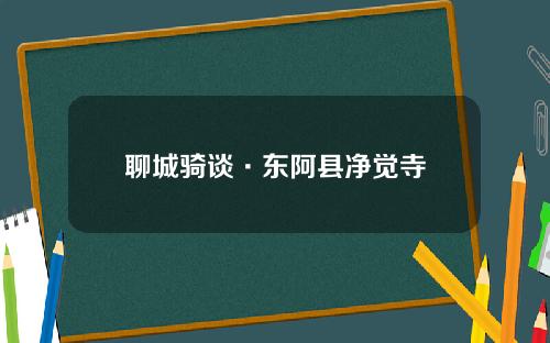 聊城骑谈·东阿县净觉寺