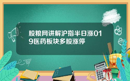 股粮网讲解沪指半日涨019医药板块多股涨停