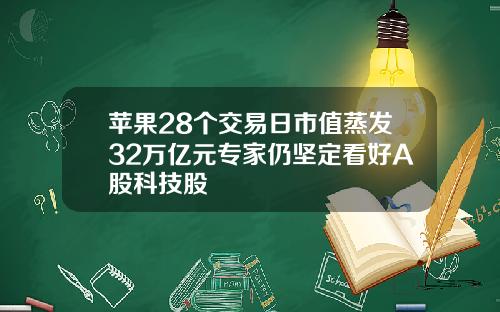 苹果28个交易日市值蒸发32万亿元专家仍坚定看好A股科技股