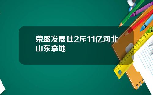 荣盛发展吐2斥11亿河北山东拿地