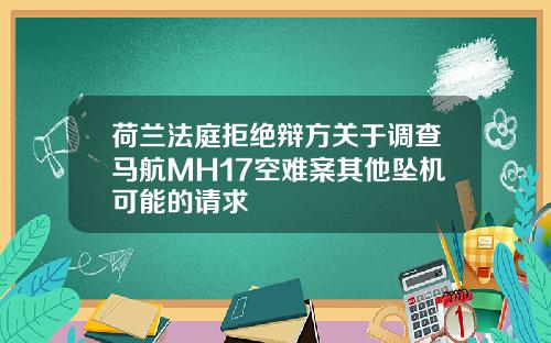 荷兰法庭拒绝辩方关于调查马航MH17空难案其他坠机可能的请求