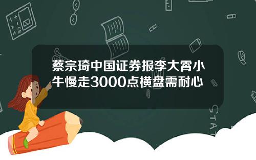 蔡宗琦中国证券报李大霄小牛慢走3000点横盘需耐心