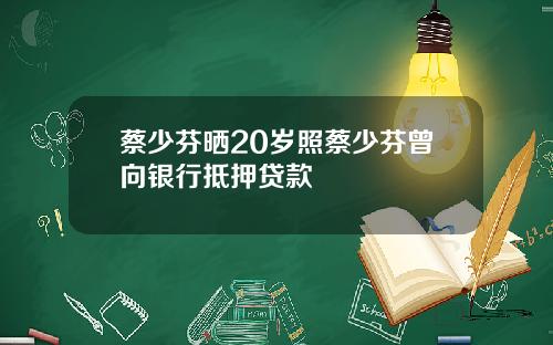 蔡少芬晒20岁照蔡少芬曾向银行抵押贷款