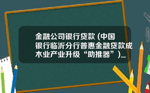 金融公司银行贷款 (中国银行临沂分行普惠金融贷款成木业产业升级“助推器”)_1