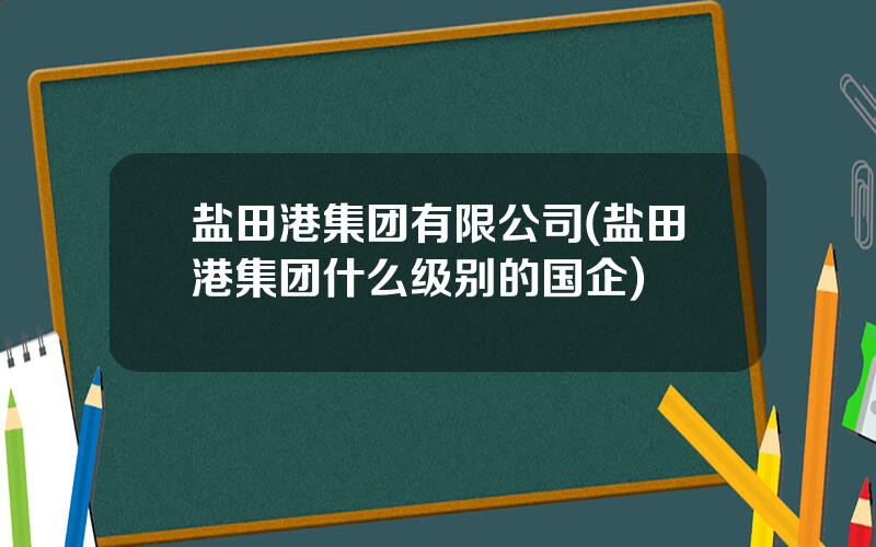 盐田港集团有限公司(盐田港集团什么级别的国企)