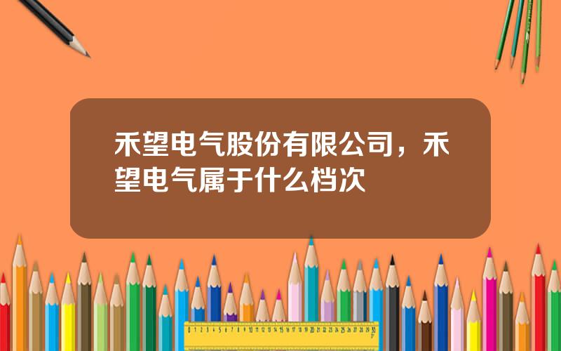 禾望电气股份有限公司，禾望电气属于什么档次