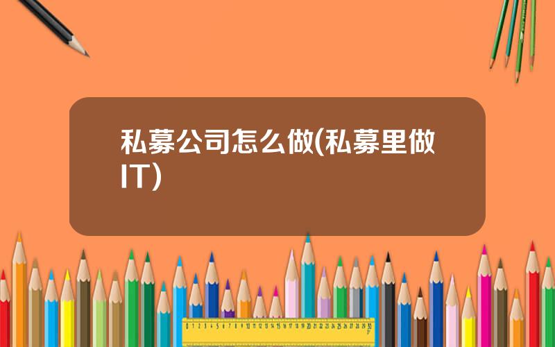 私募公司怎么做(私募里做IT)