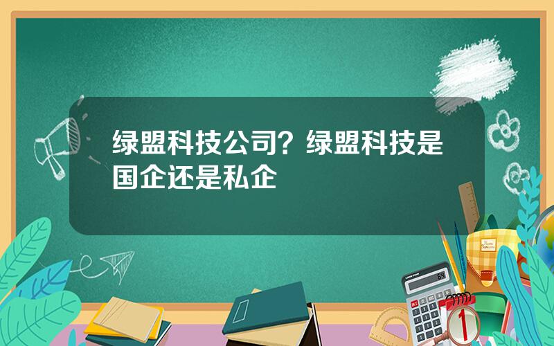 绿盟科技公司？绿盟科技是国企还是私企