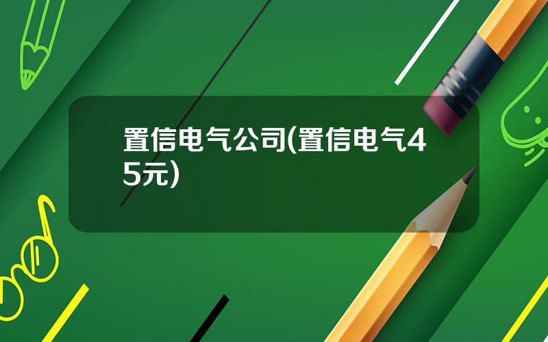 置信电气公司(置信电气45元)