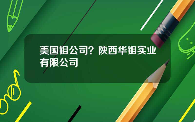 美国钼公司？陕西华钼实业有限公司