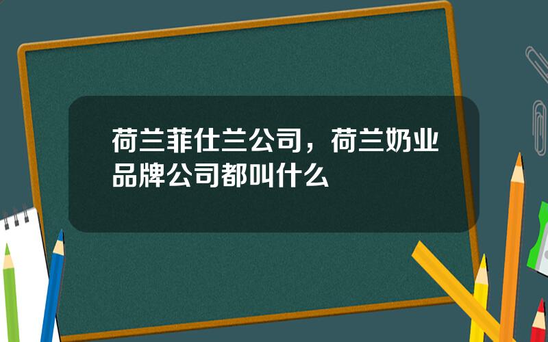 荷兰菲仕兰公司，荷兰奶业品牌公司都叫什么