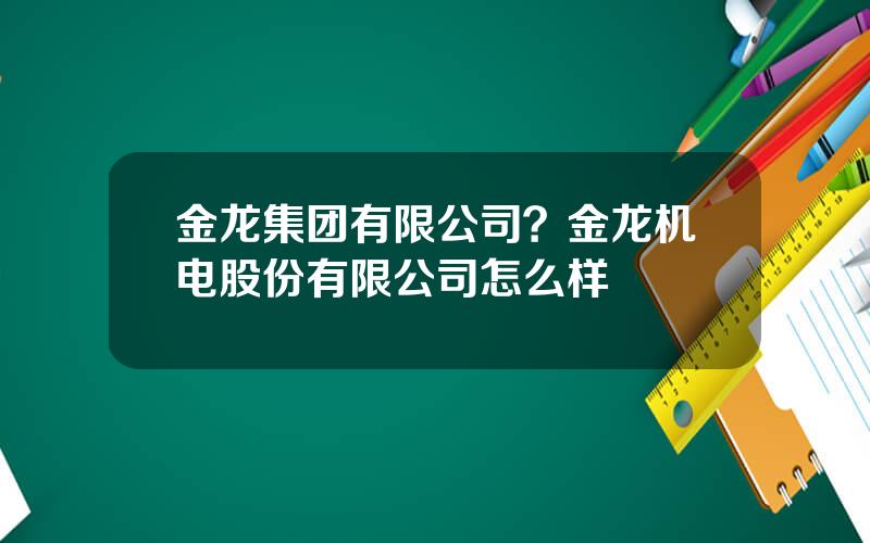 金龙集团有限公司？金龙机电股份有限公司怎么样