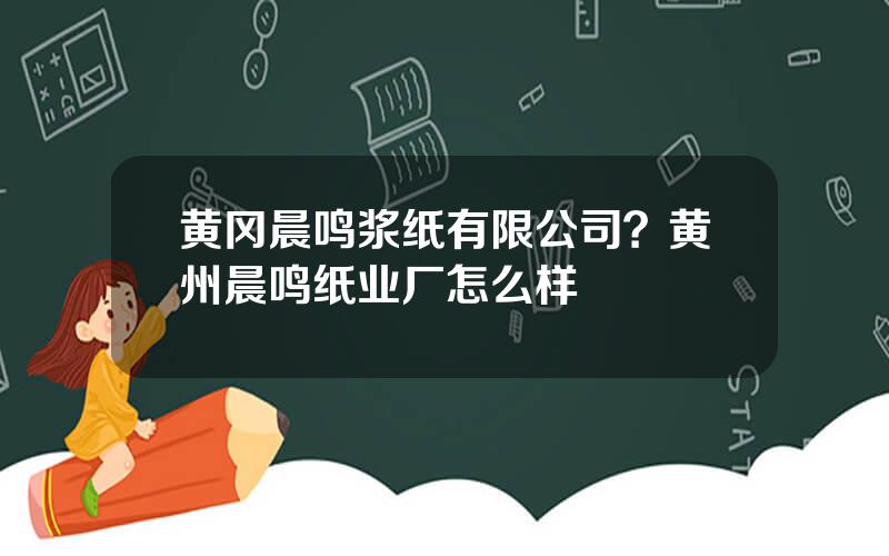 黄冈晨鸣浆纸有限公司？黄州晨鸣纸业厂怎么样